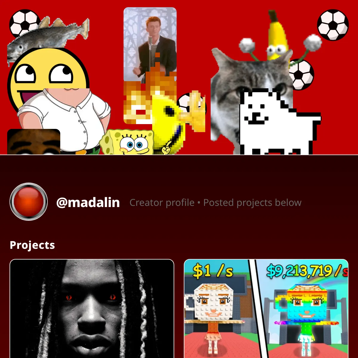 the project is loading