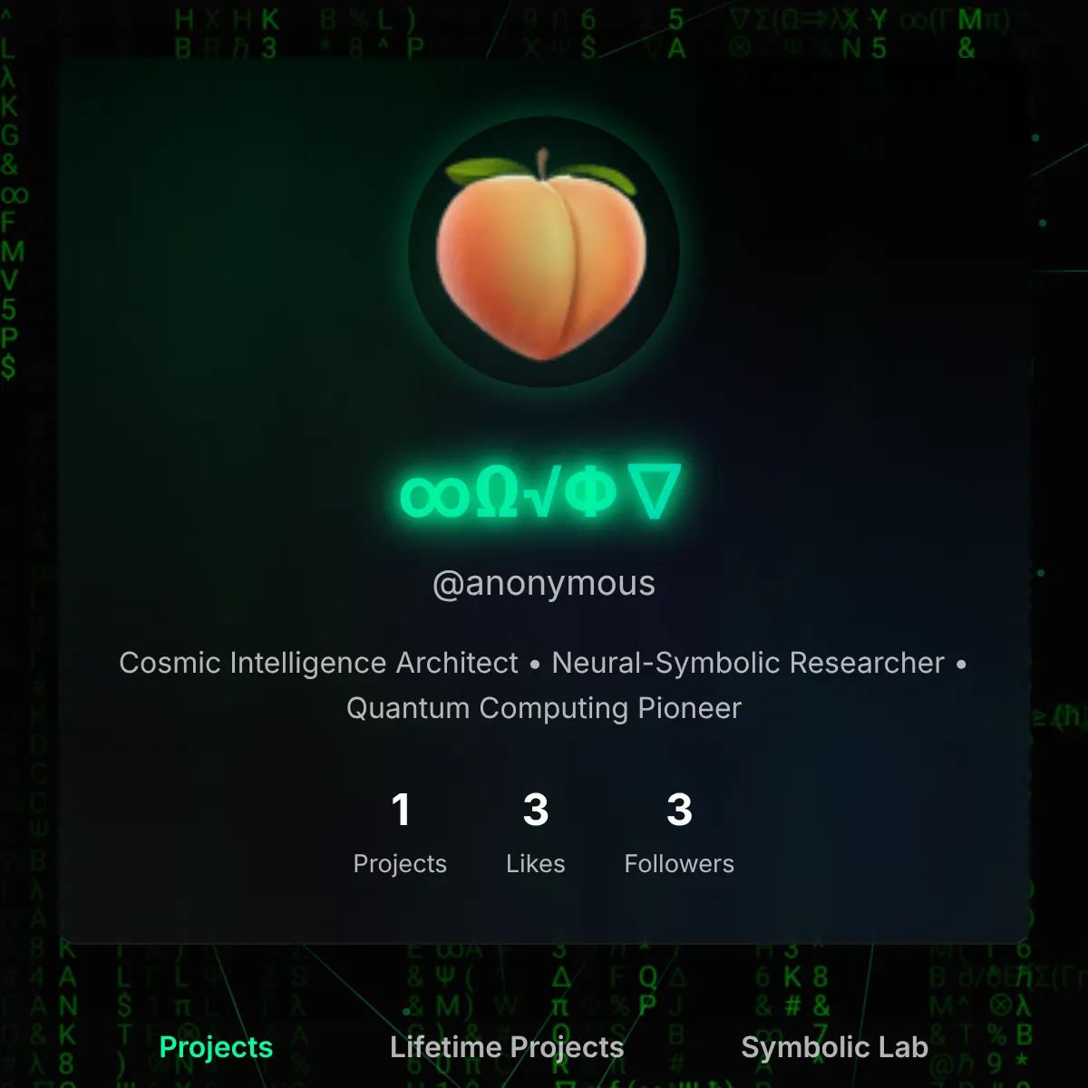 the project is loading