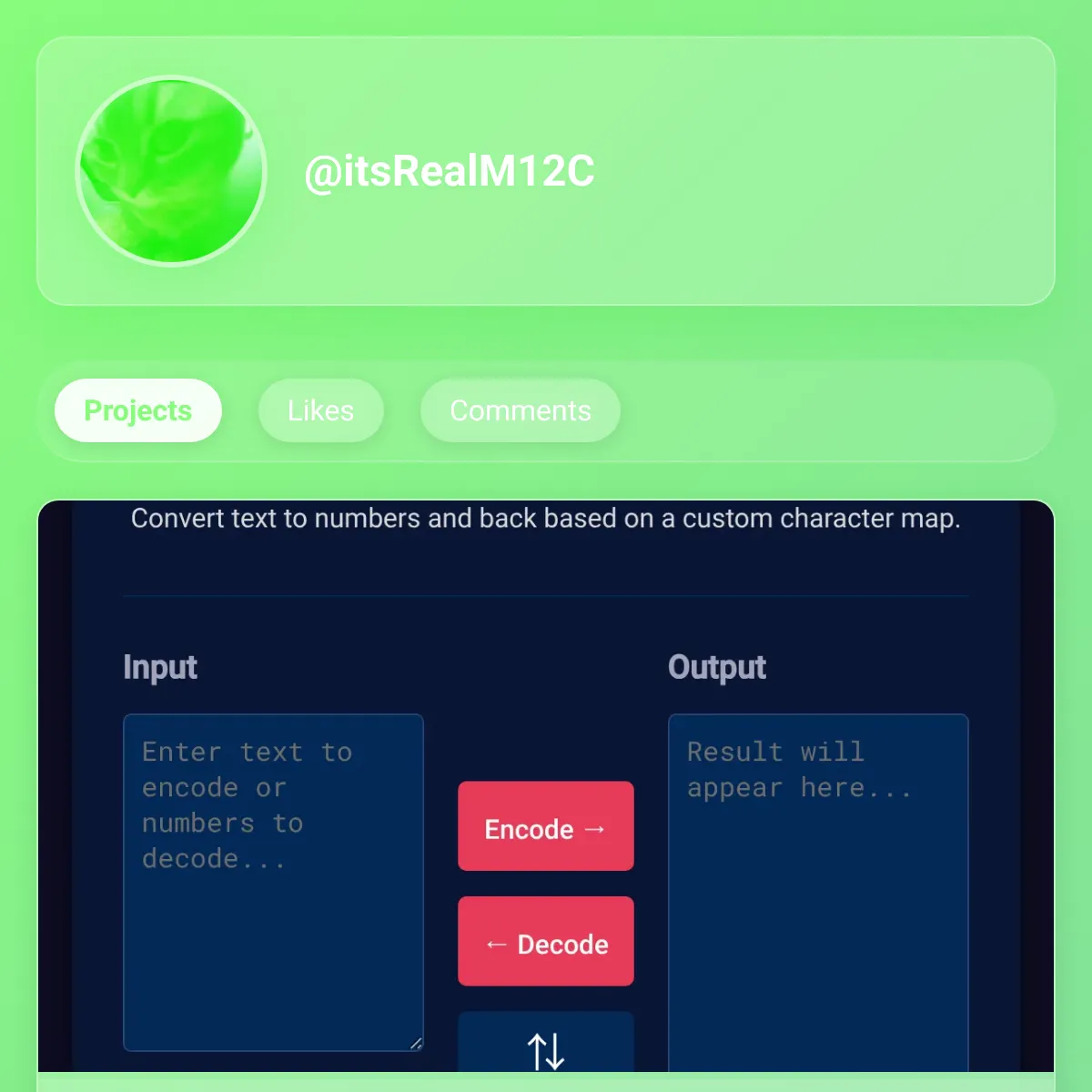 the project is loading