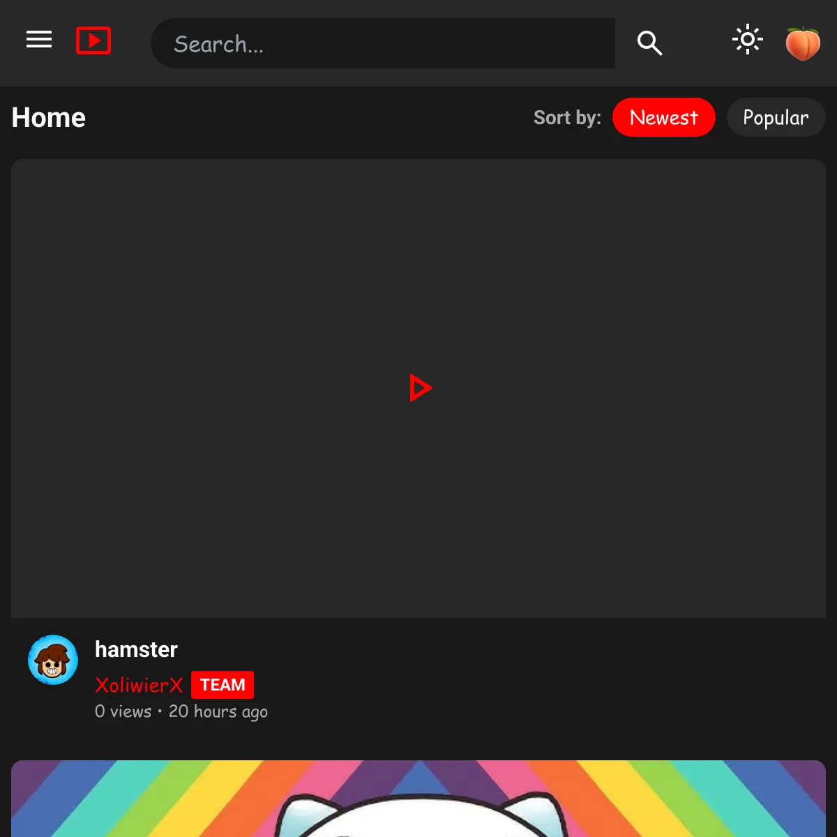 the project is loading