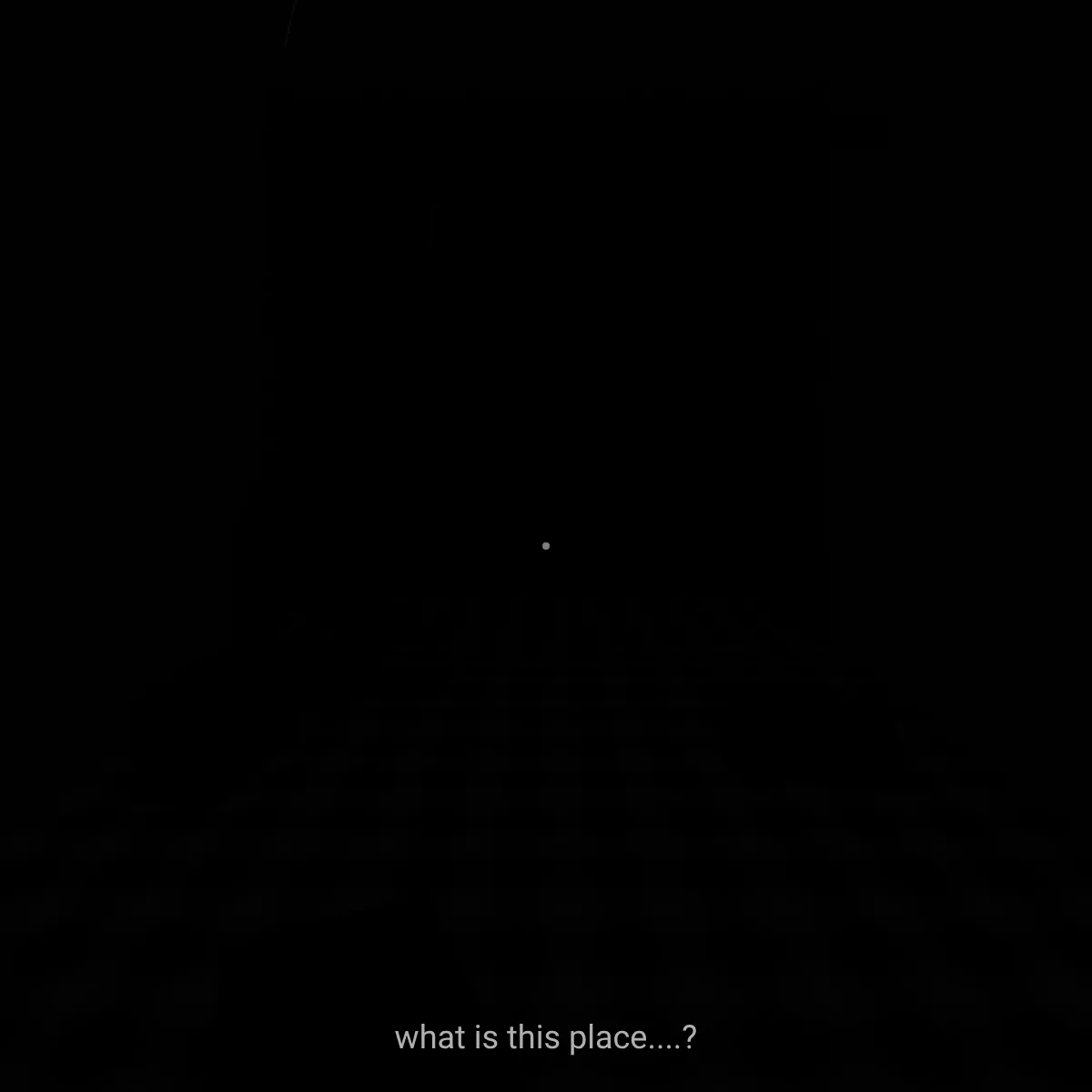 the project is loading