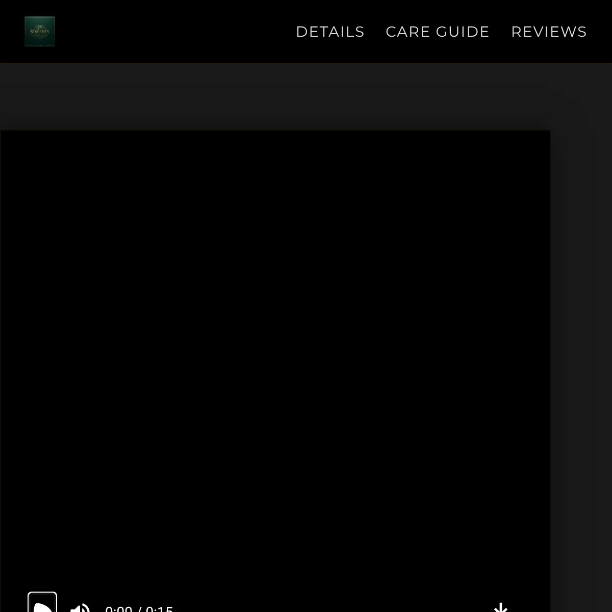 the project is loading