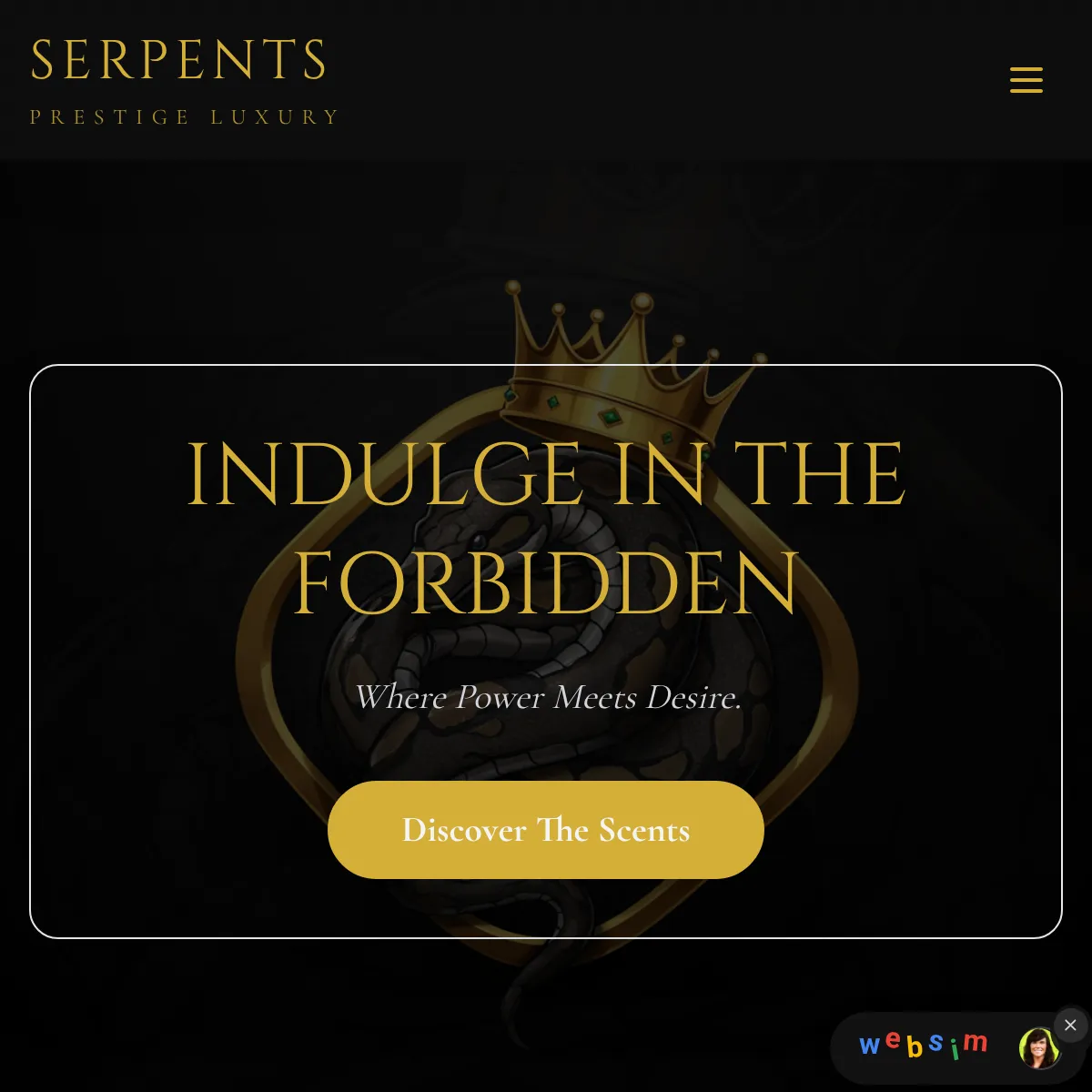 the project is loading