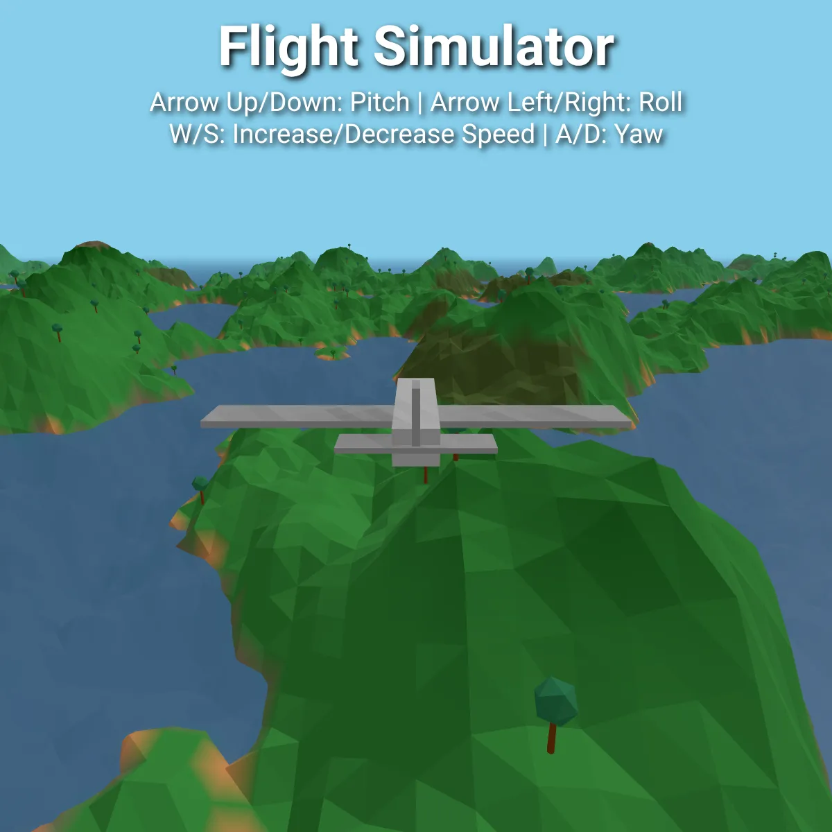 Flight Simulator