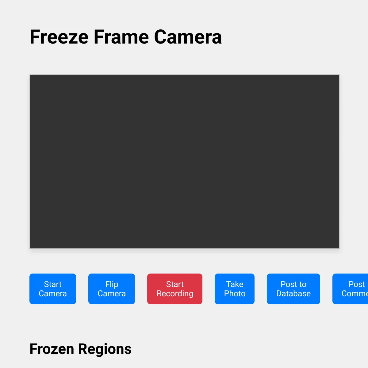Freeze Frame Camera Recorder