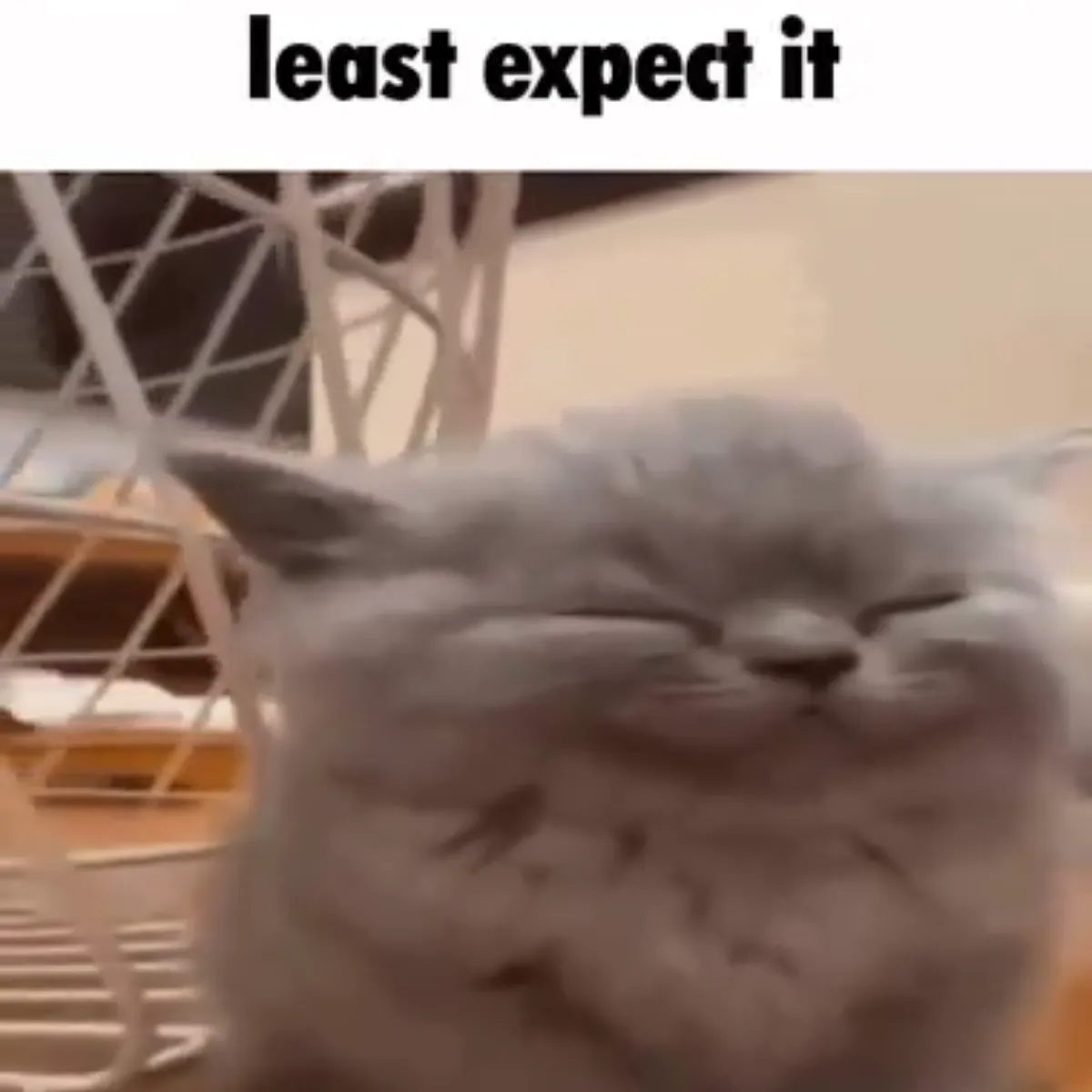 the project is loading