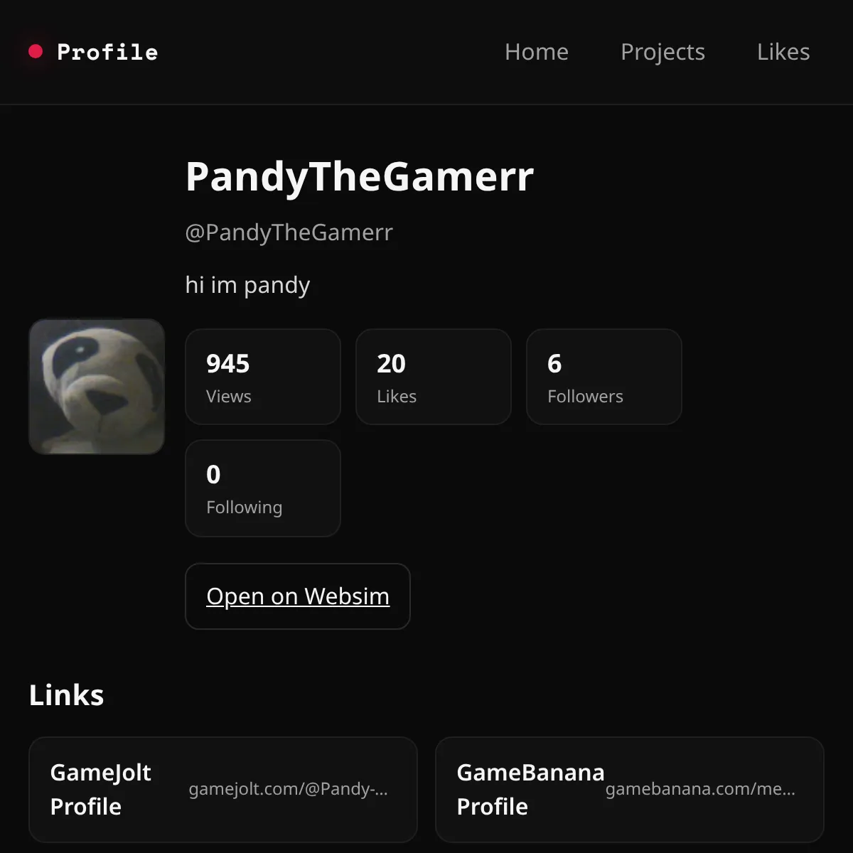 the project is loading