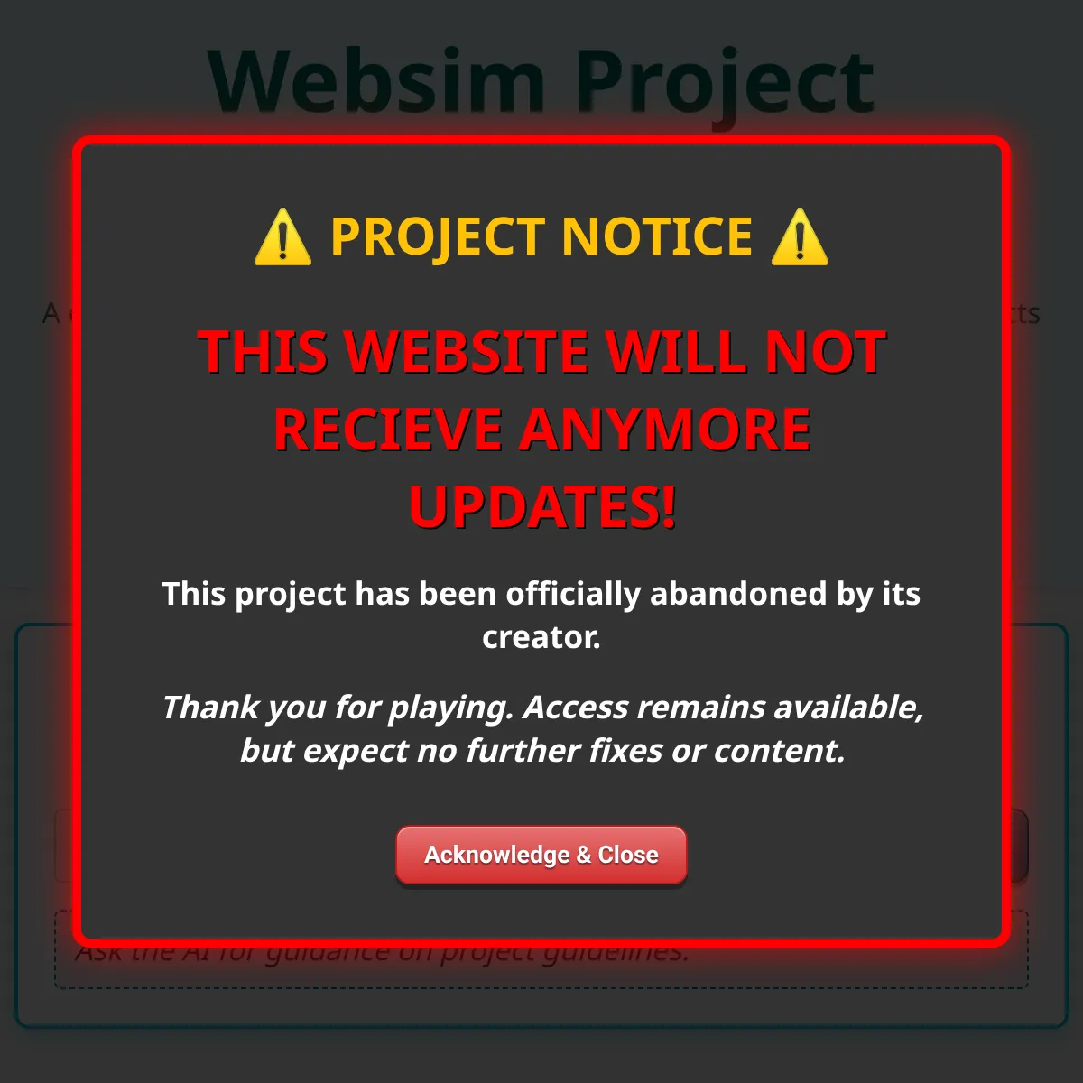Websim Project “Dont’s” List