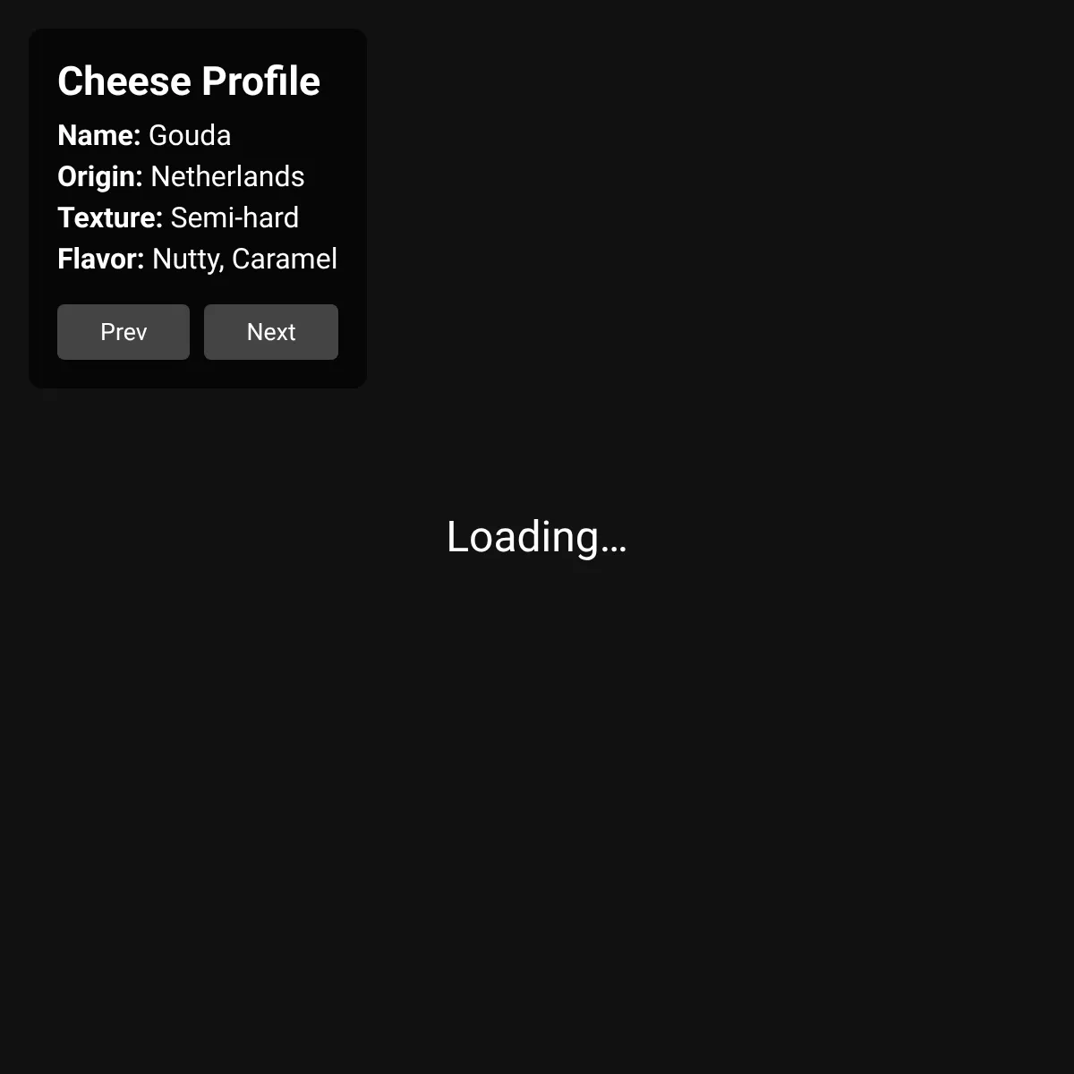 the project is loading