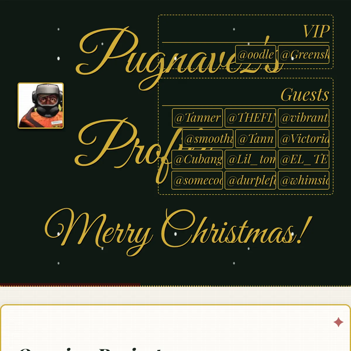 the project is loading