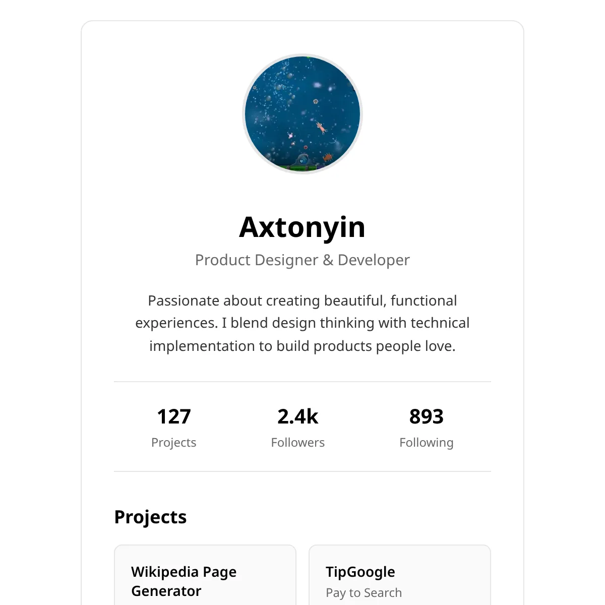 the project is loading