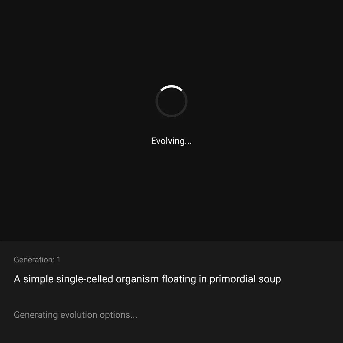 the project is loading