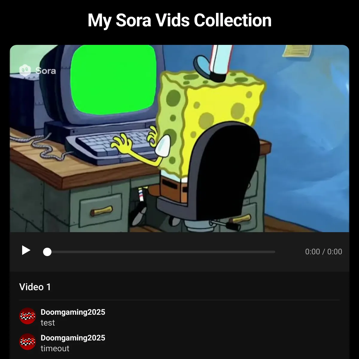 Sora Video Collection