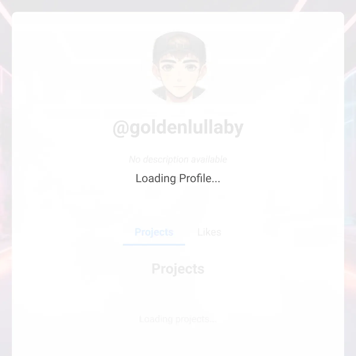 the project is loading