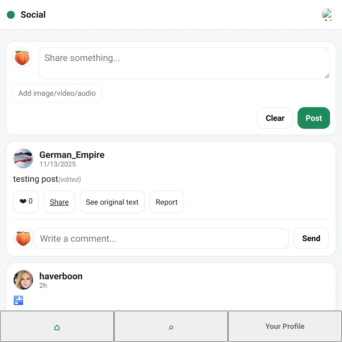 the project is loading