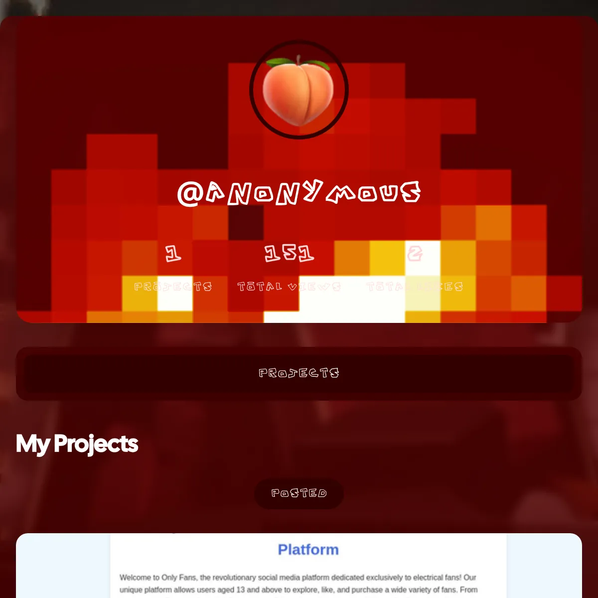 the project is loading