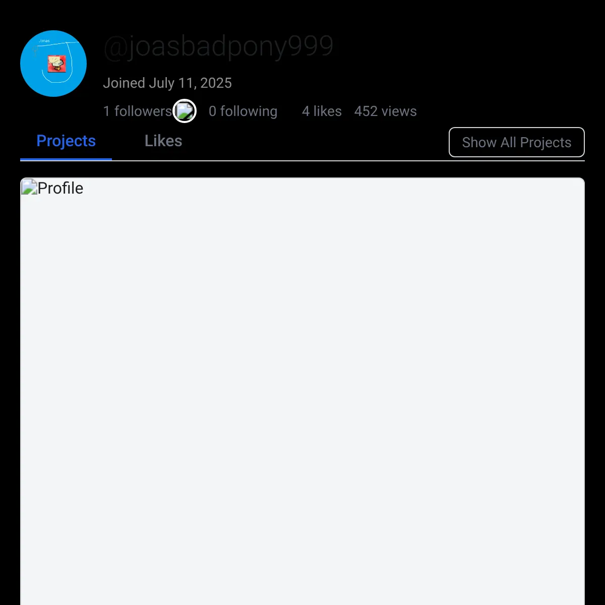 the project is loading