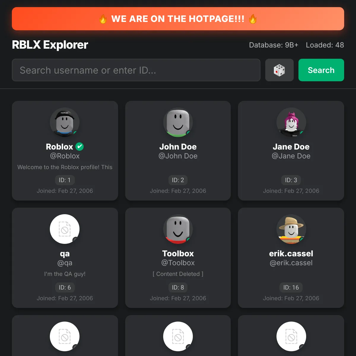 the project is loading