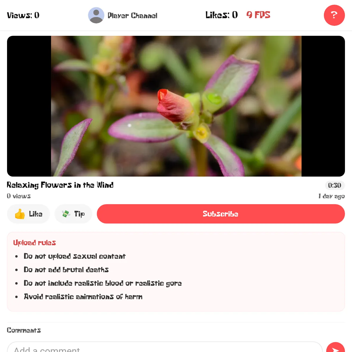 the project is loading