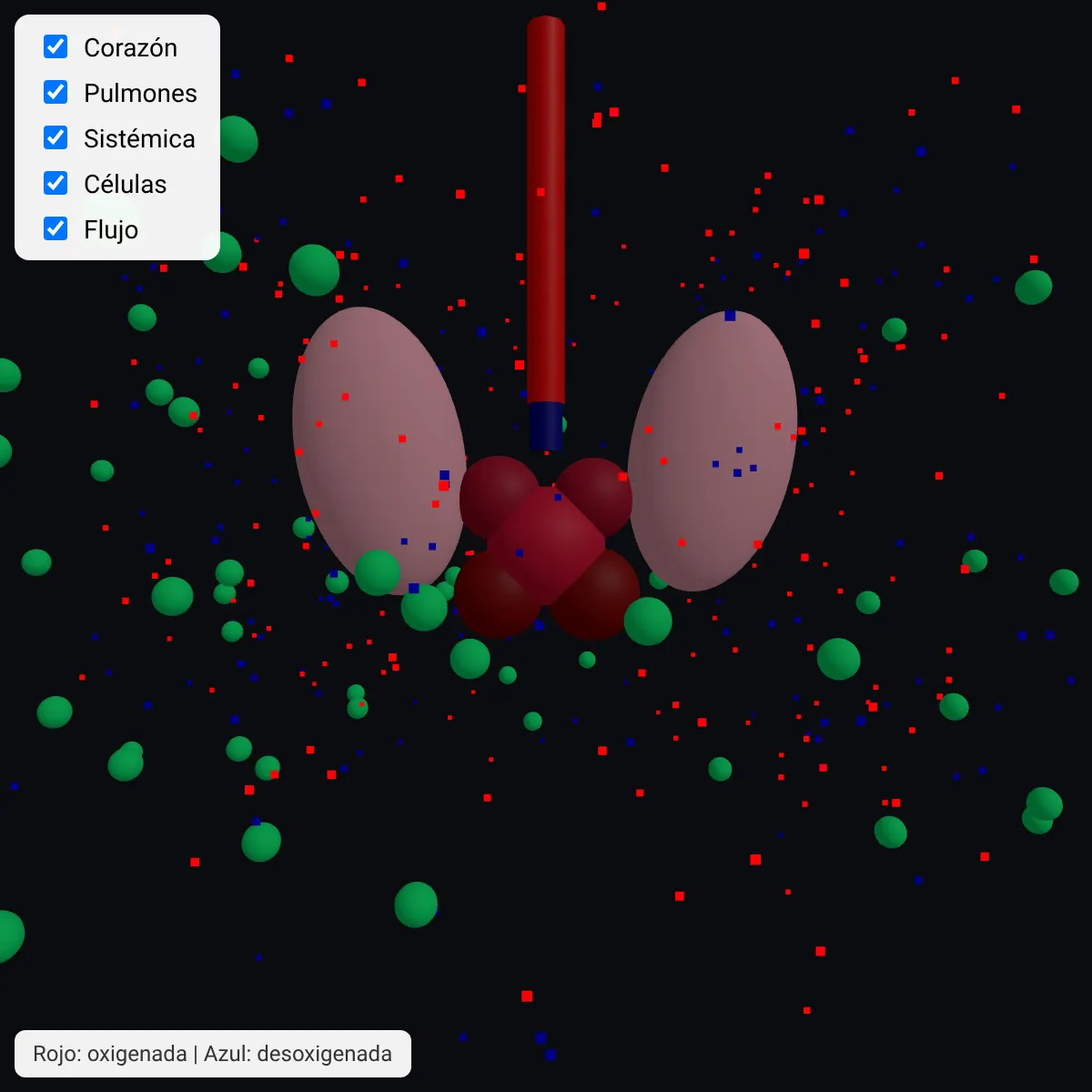 the project is loading