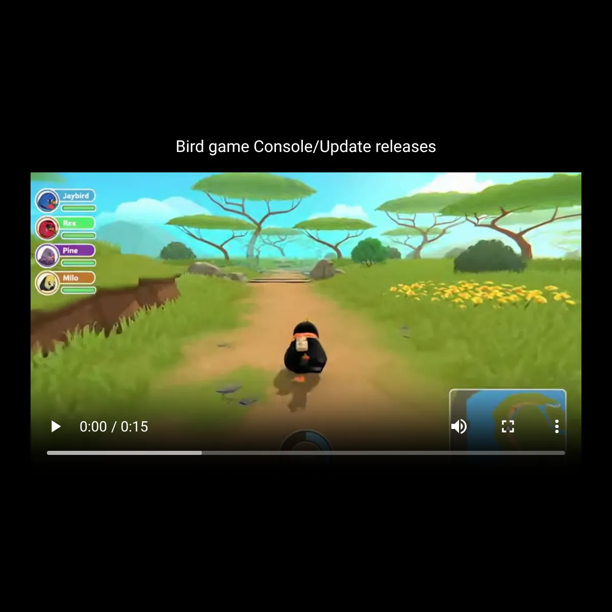 the project is loading