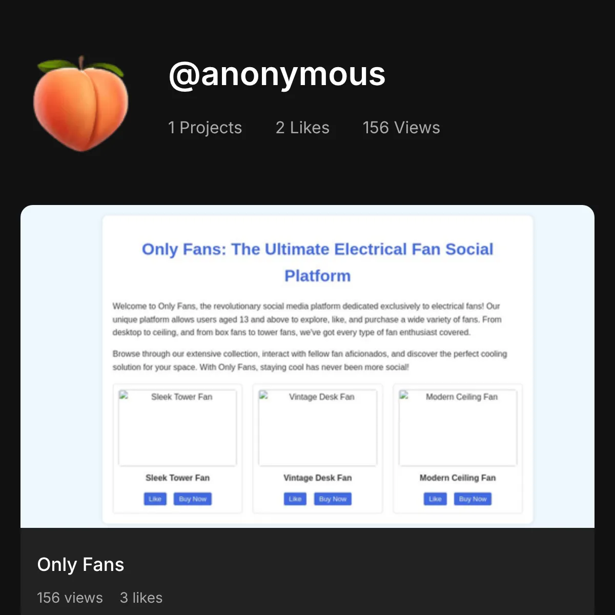 the project is loading