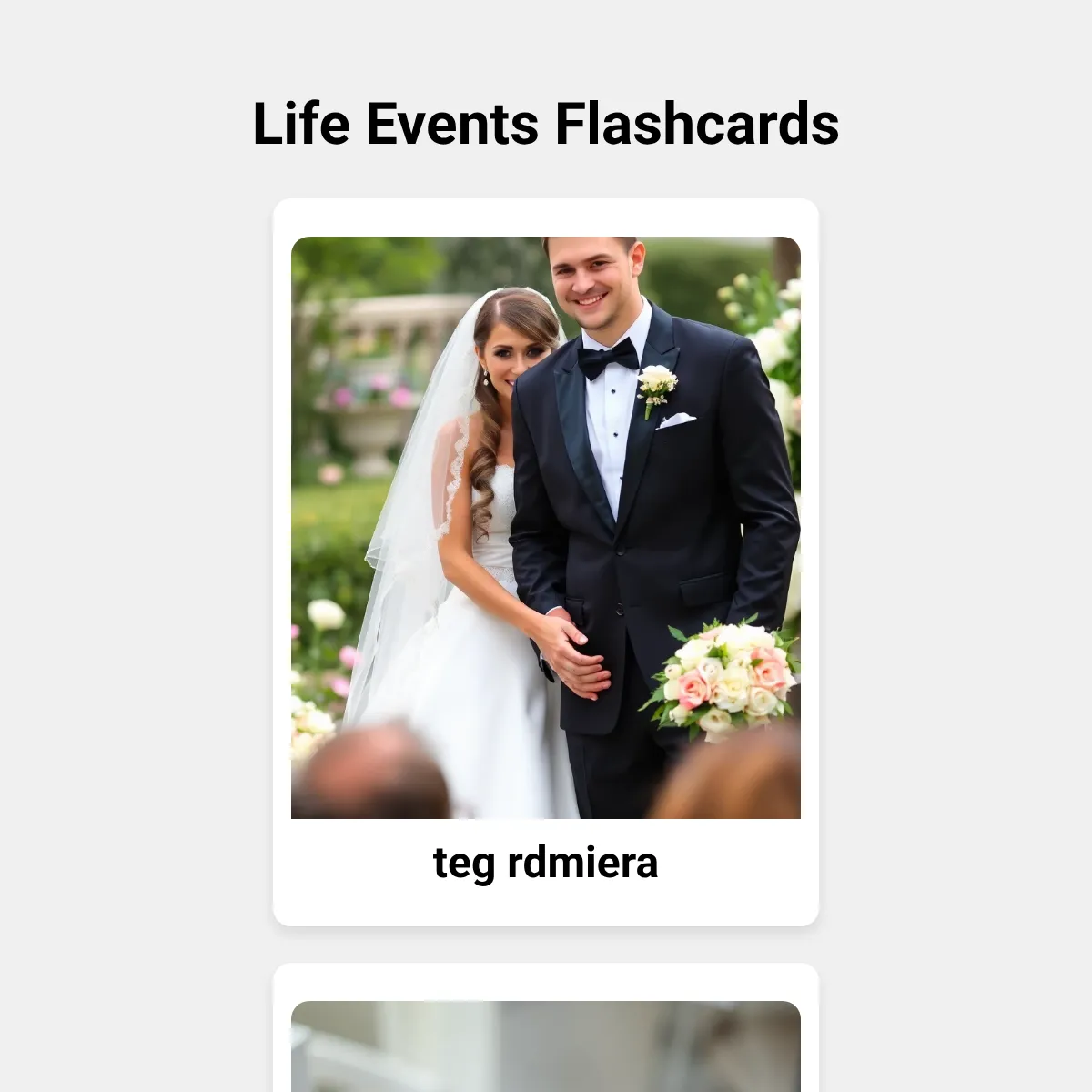 the project is loading