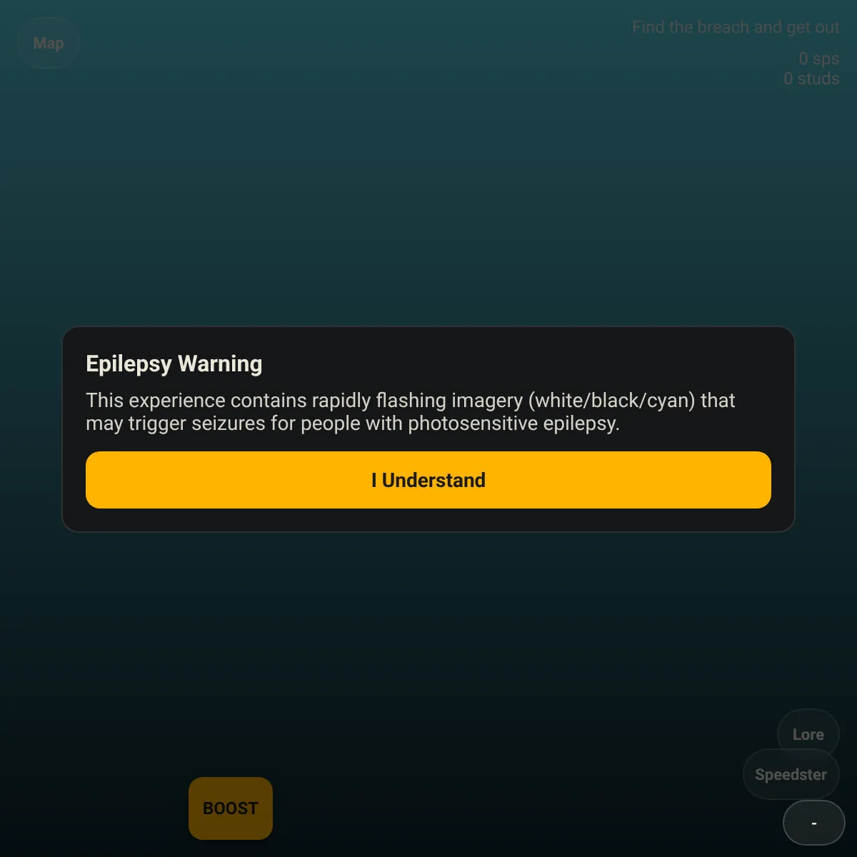 the project is loading