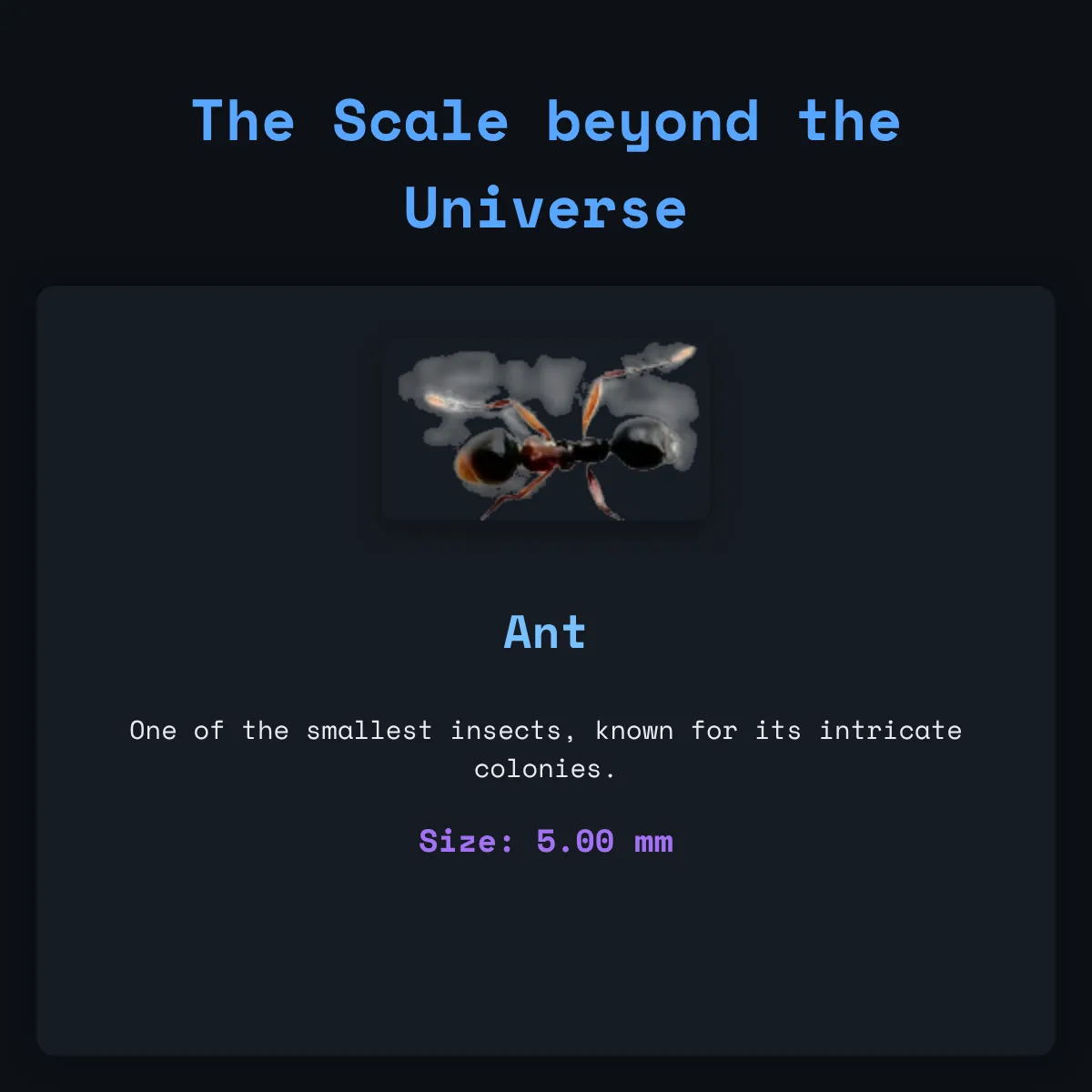 the project is loading