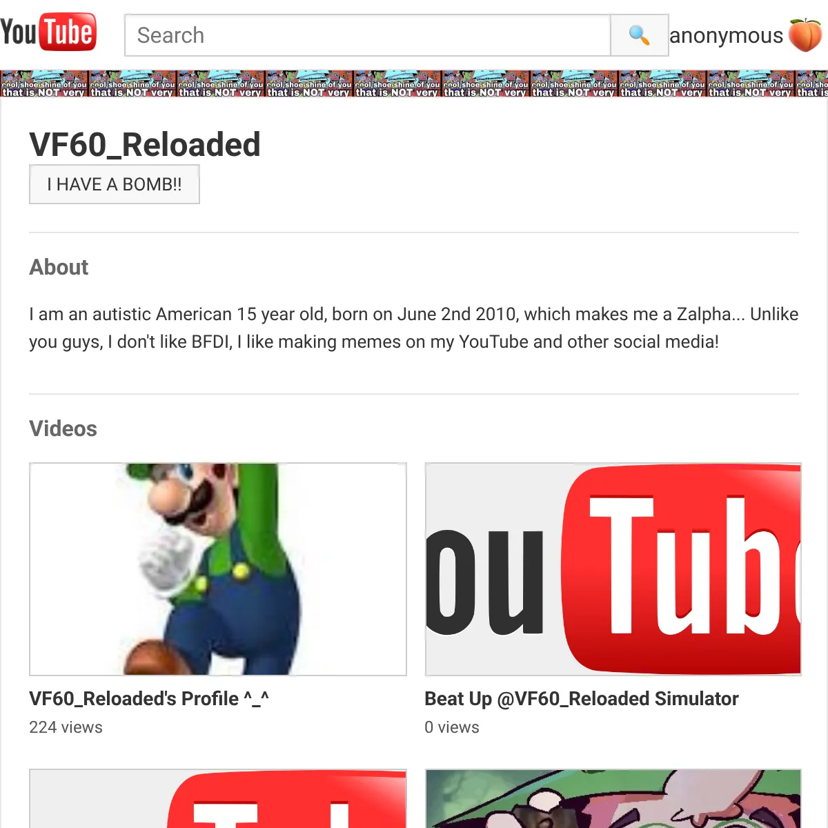 the project is loading