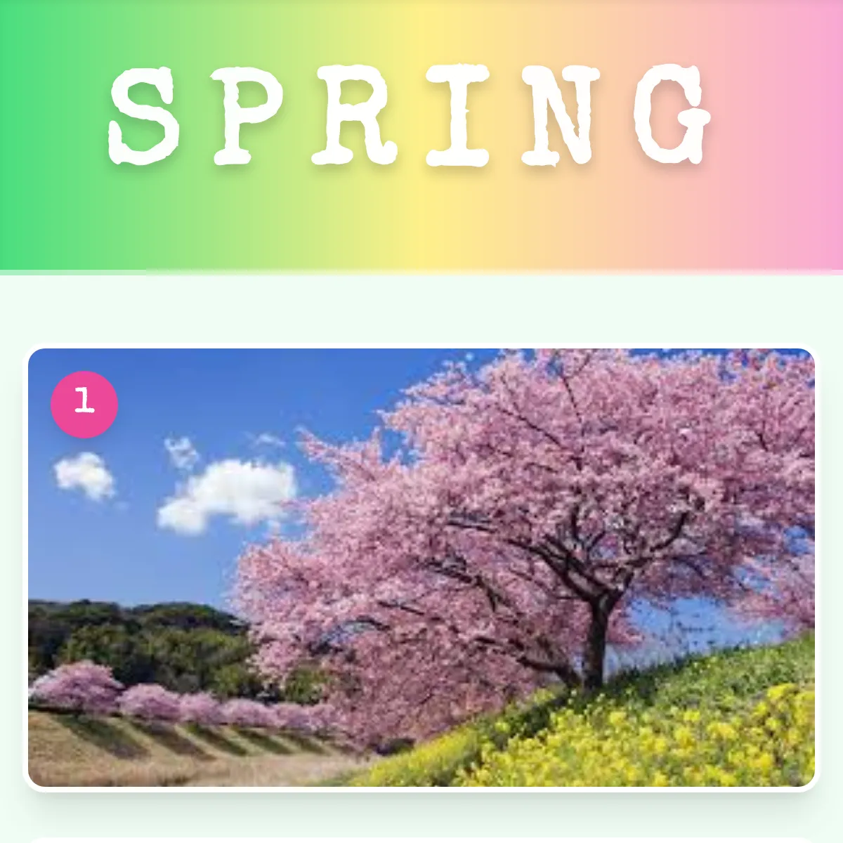 the project is loading