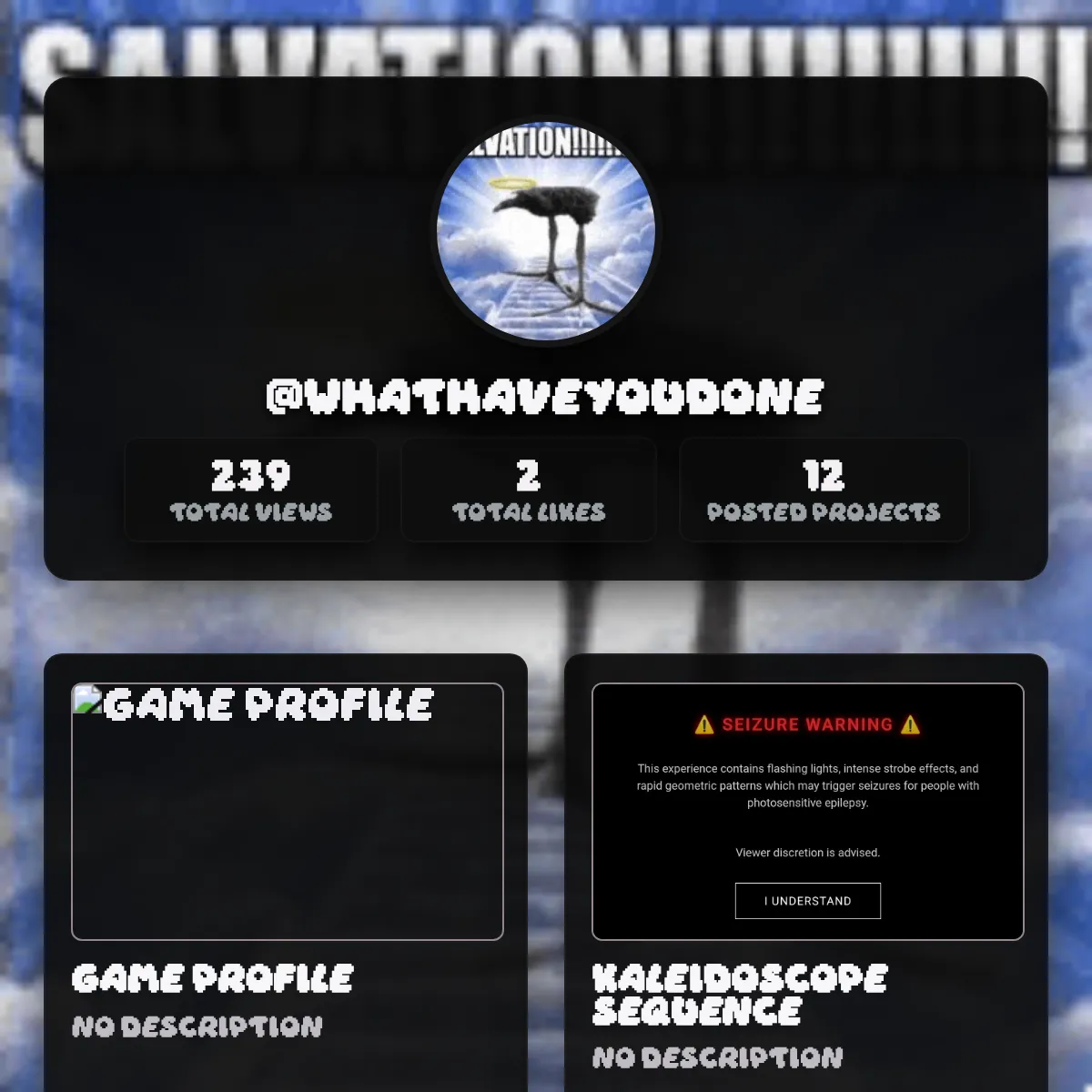 the project is loading