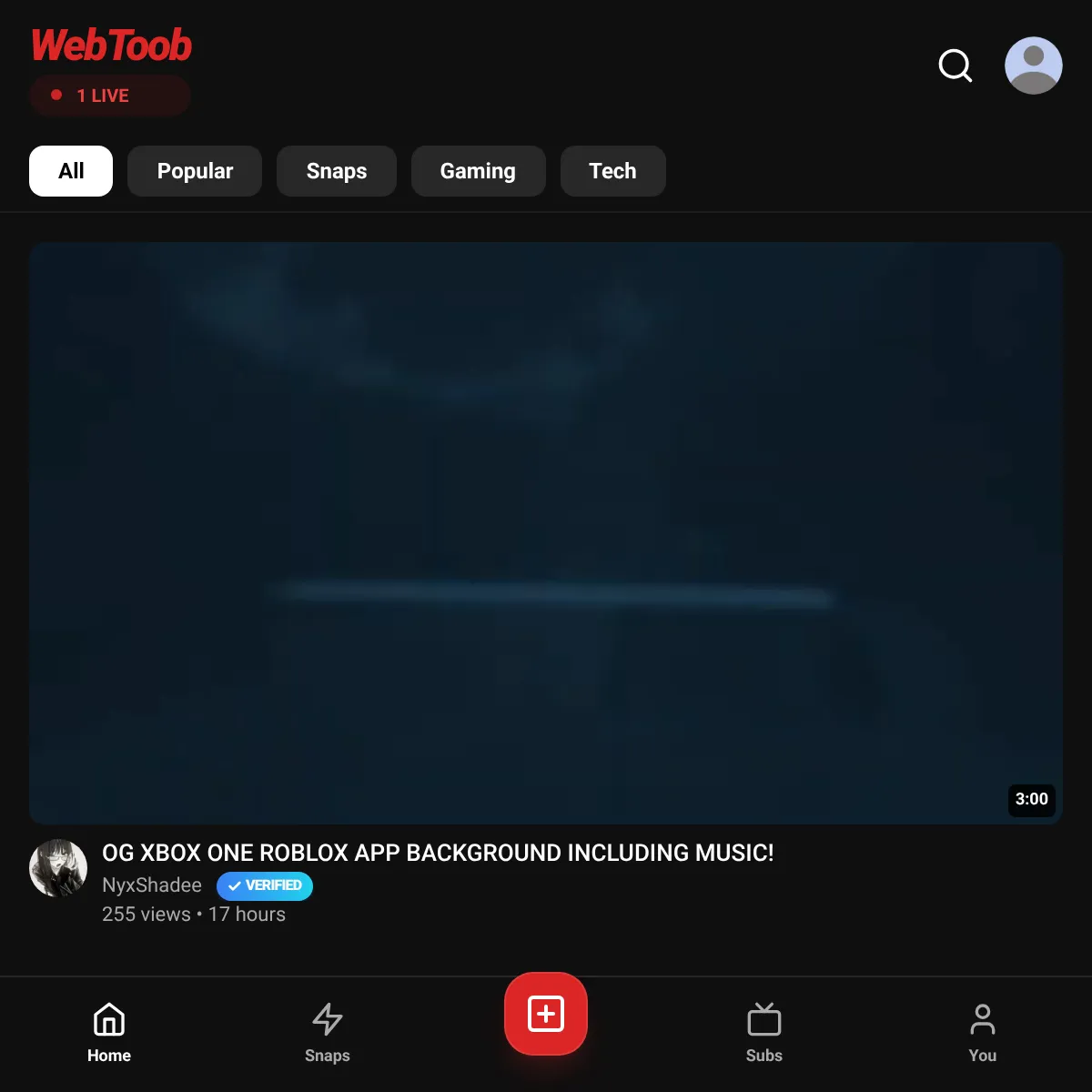 the project is loading