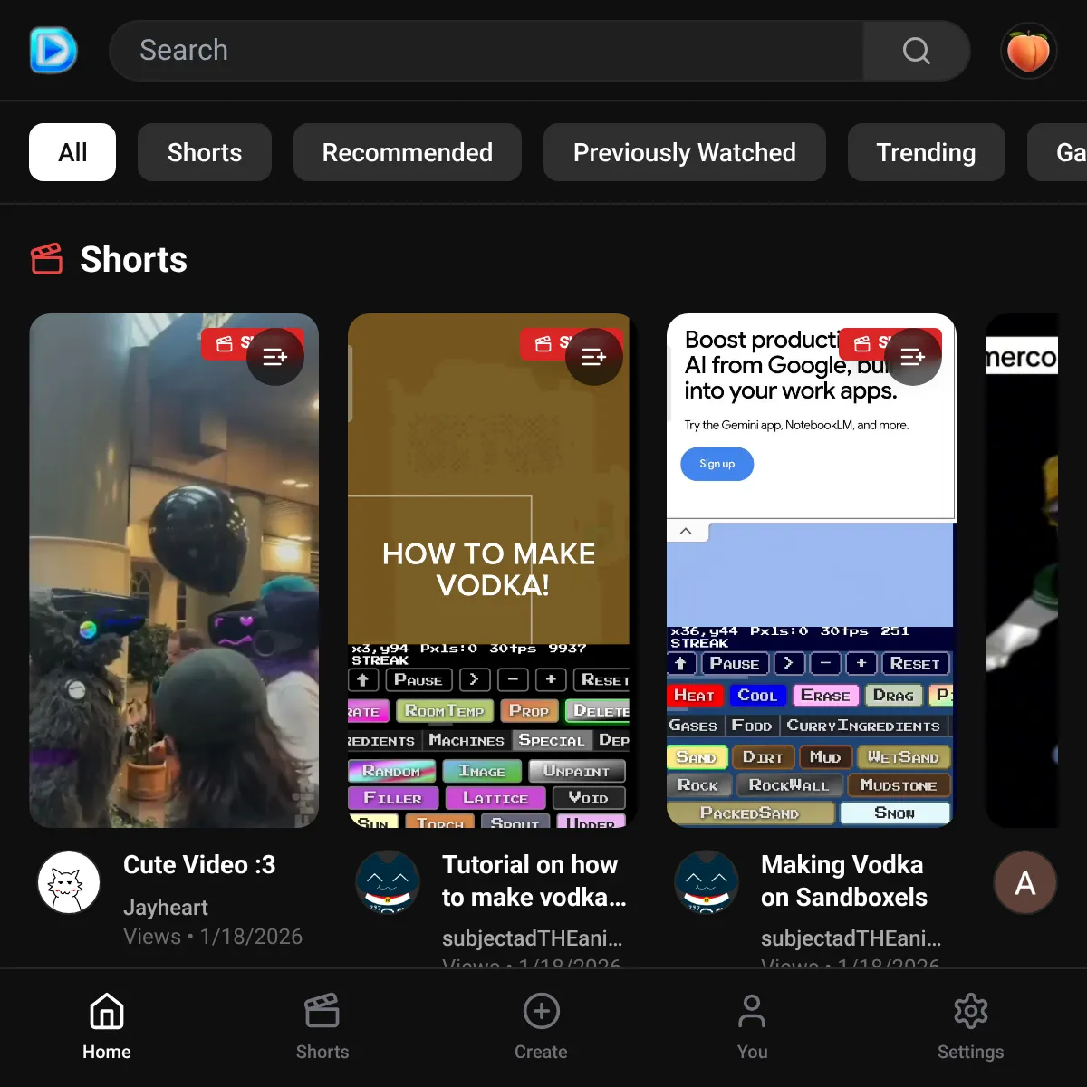 the project is loading