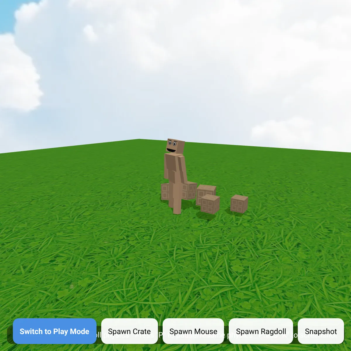 Ragdoll Demo