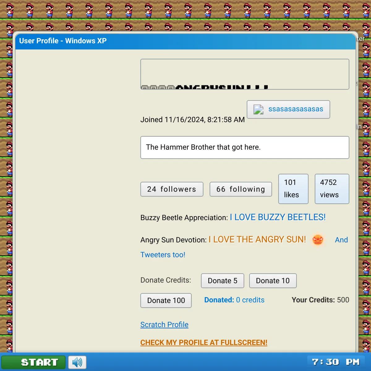 the project is loading