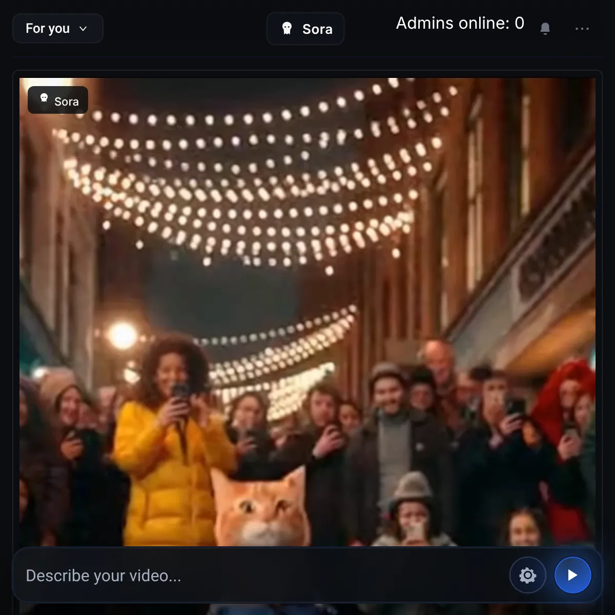 the project is loading