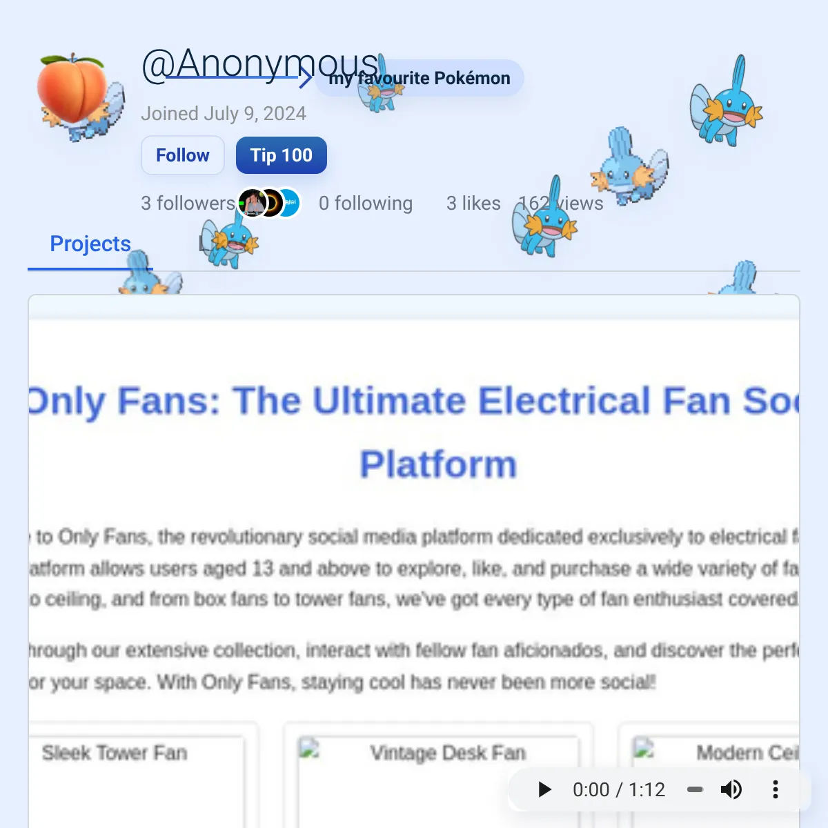 the project is loading