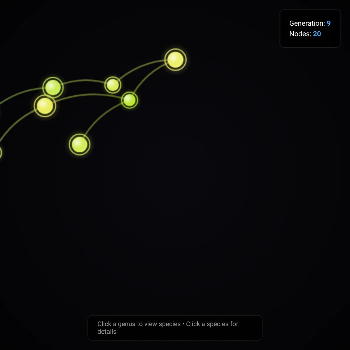 the project is loading