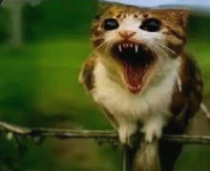 Meowl: Your virtual pet! (Horror)