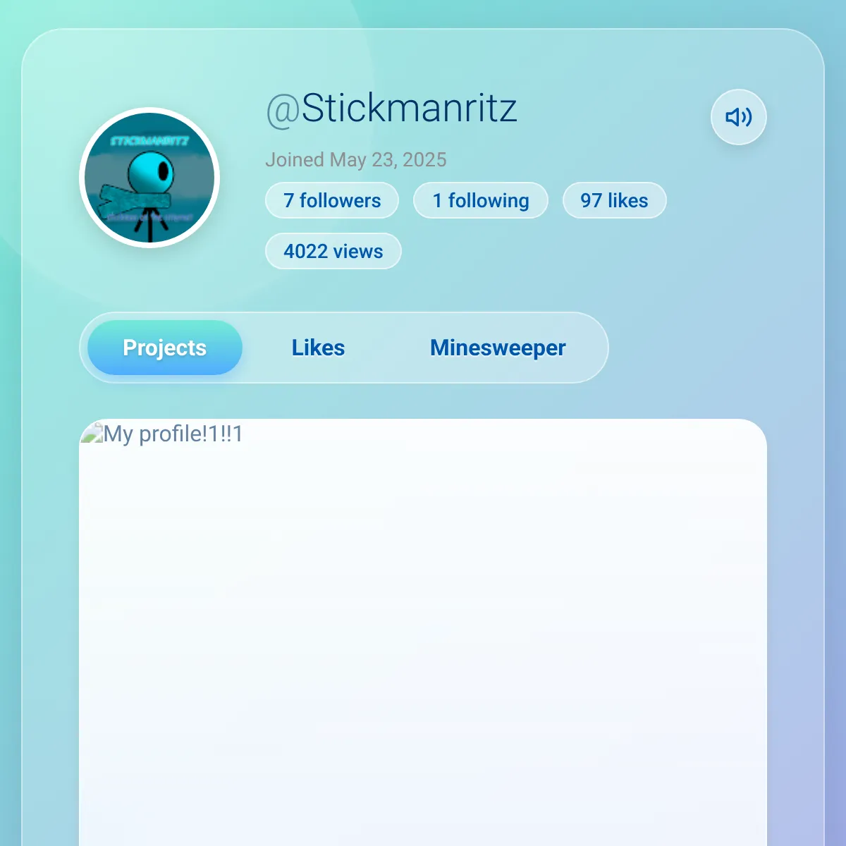 the project is loading