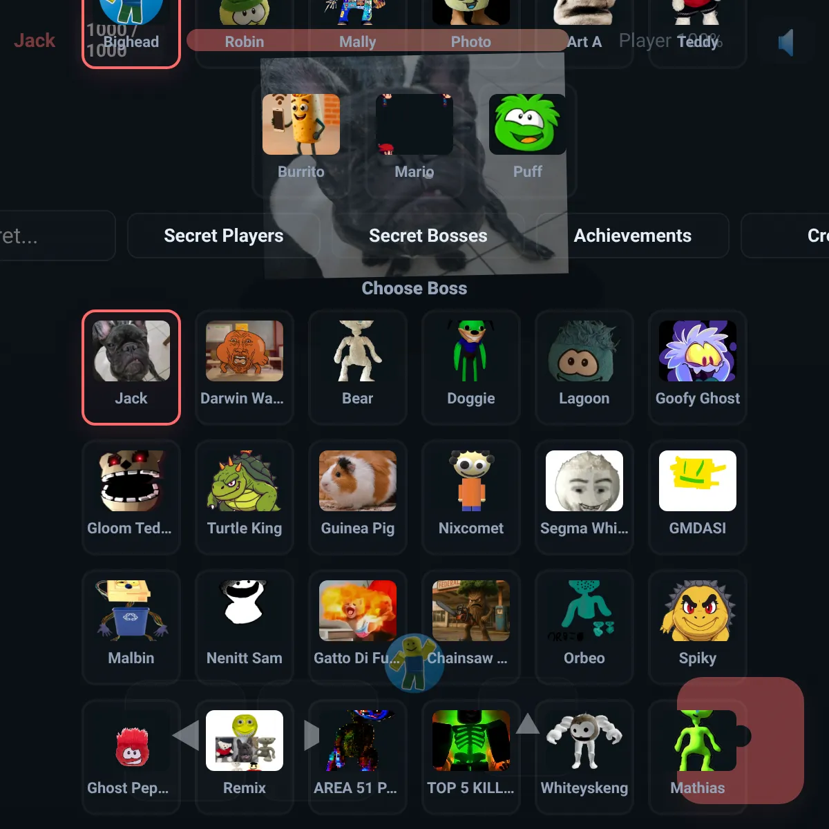 the project is loading