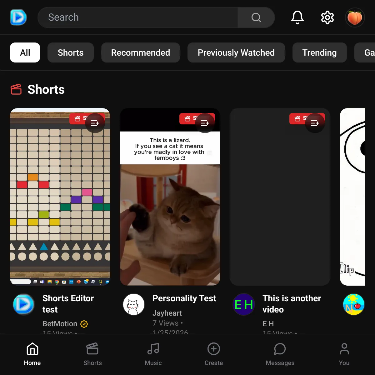 the project is loading