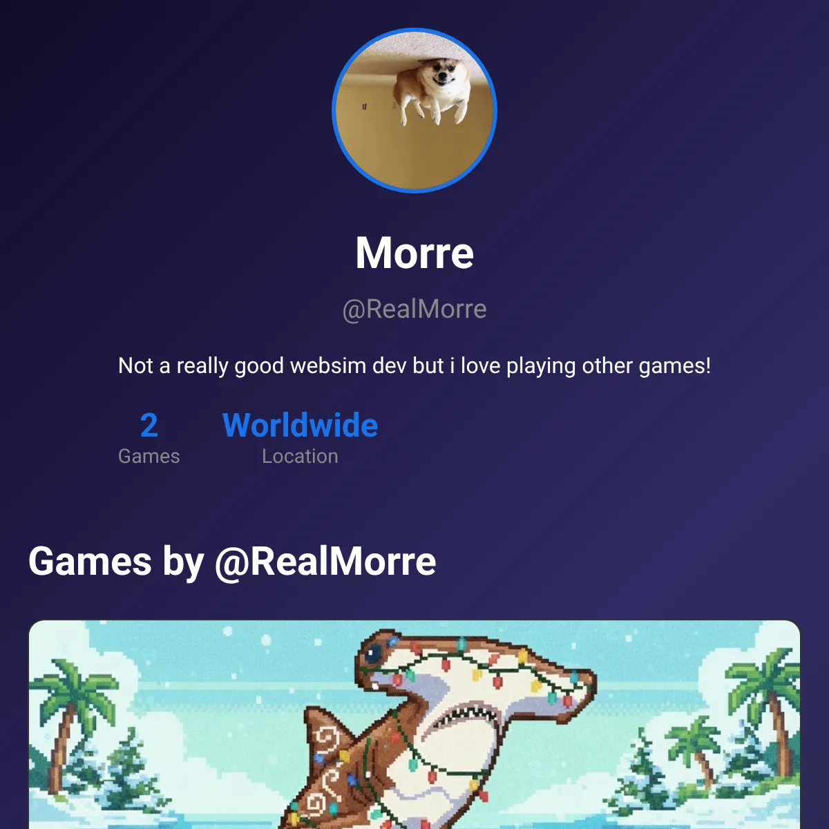 the project is loading