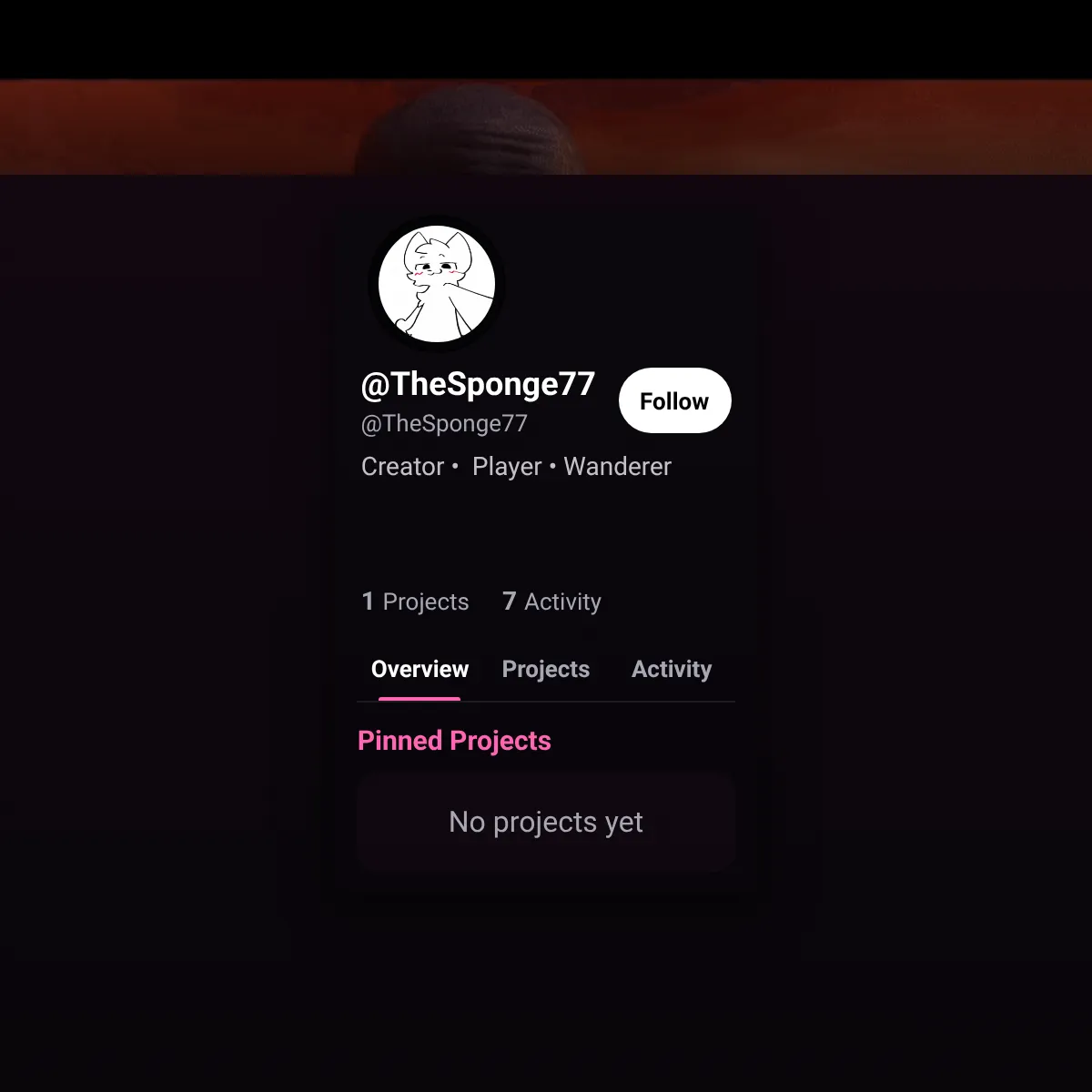 the project is loading