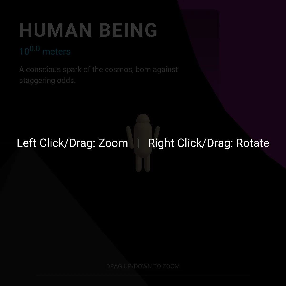 the project is loading