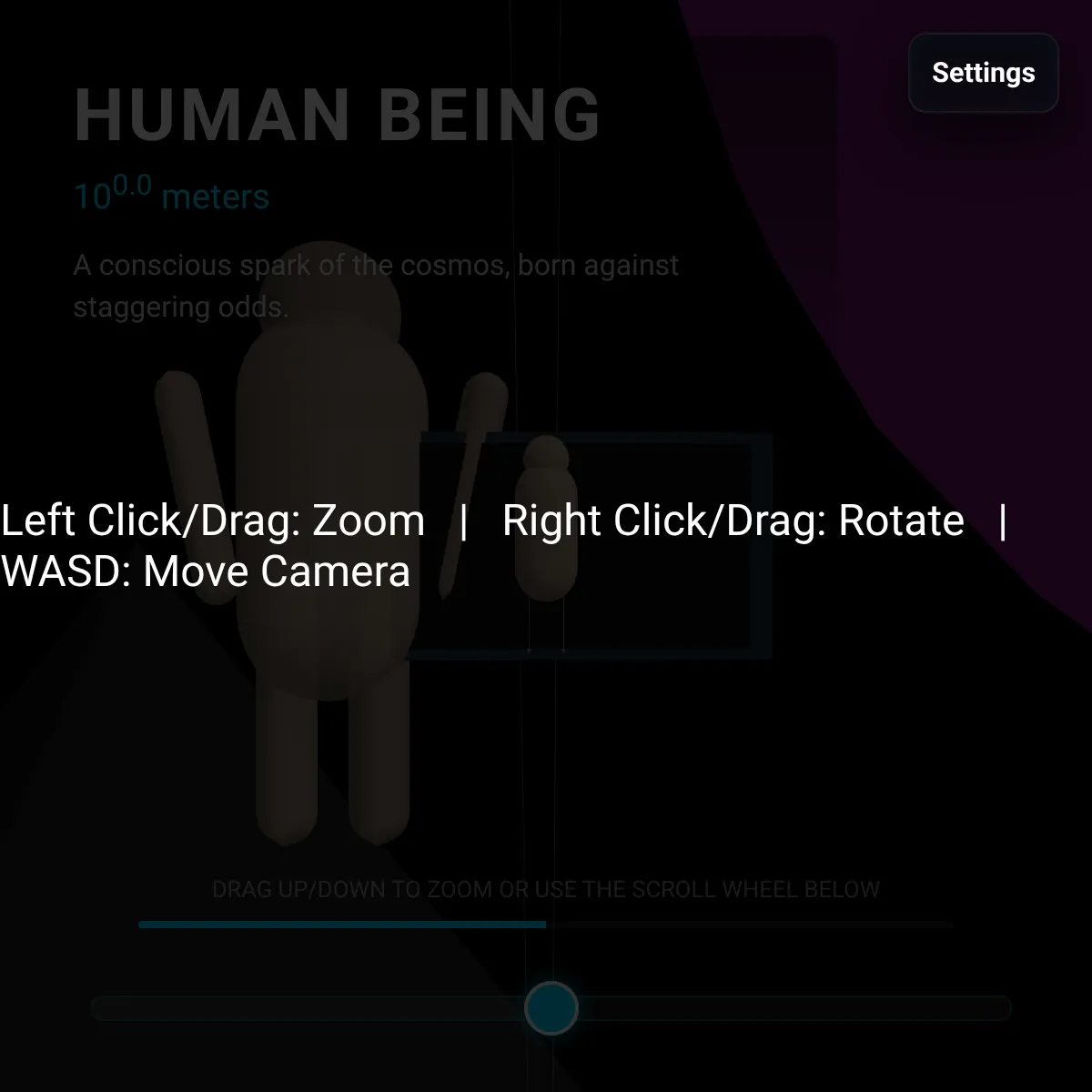 the project is loading