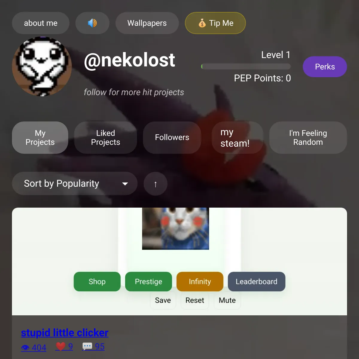 the project is loading