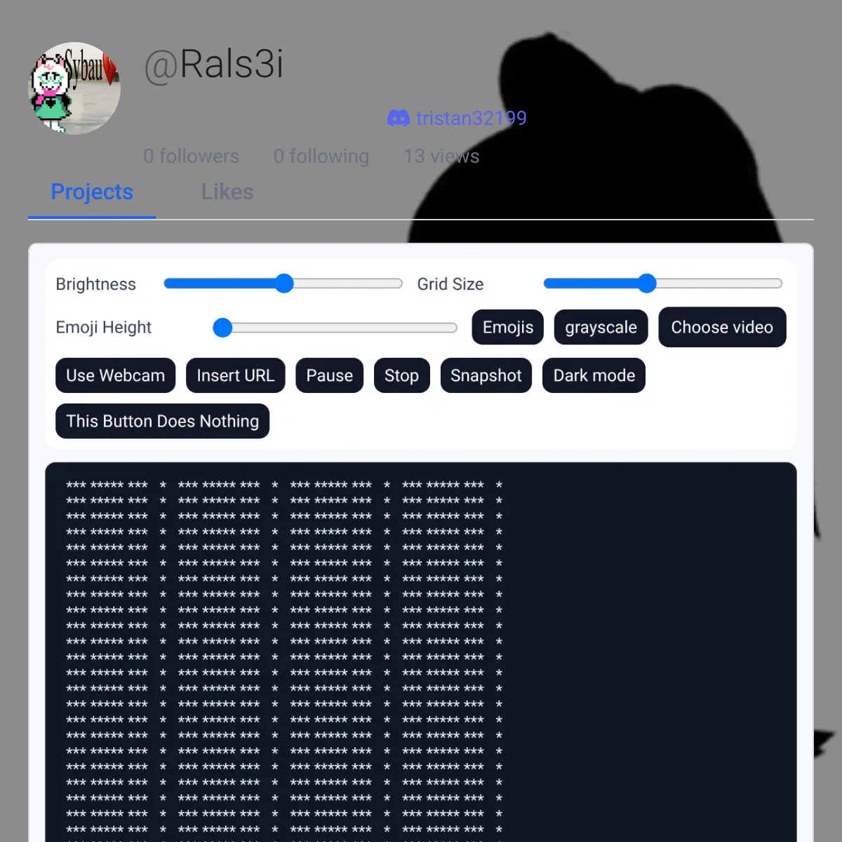 the project is loading