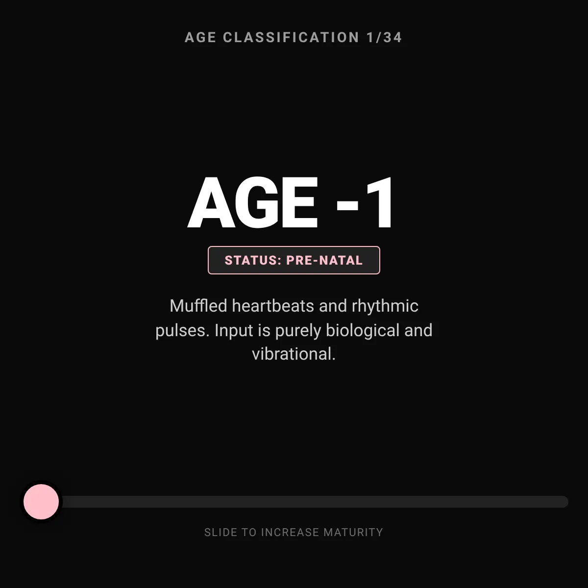 the project is loading